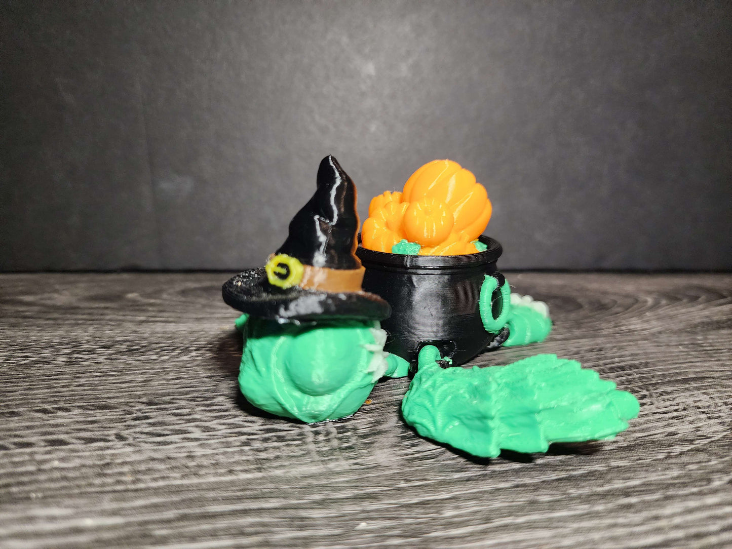 Witch Turtle