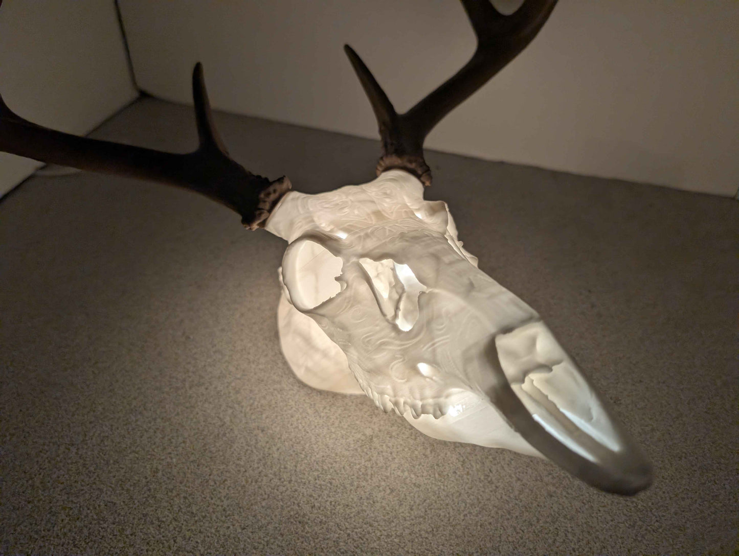 Deer Skull, Nightlight, Lamp, Cave