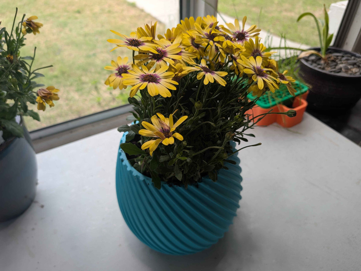 Spiral Flower Pot,  New Age Planter, Modern Boho Plant Pot, Unique Indoor Planter for Home Décor
