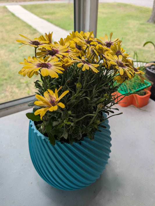 Spiral Flower Pot,  New Age Planter, Modern Boho Plant Pot, Unique Indoor Planter for Home Décor