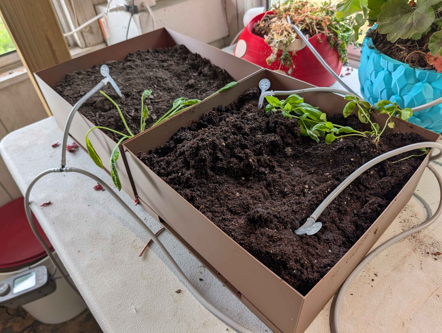 Plant Box – Modern Minimalist Planter – Indoor Desk Planter for Succulents & Herbs