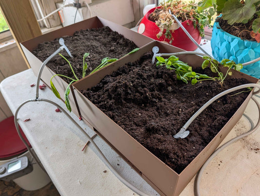 Plant Box – Modern Minimalist Planter – Indoor Desk Planter for Succulents & Herbs
