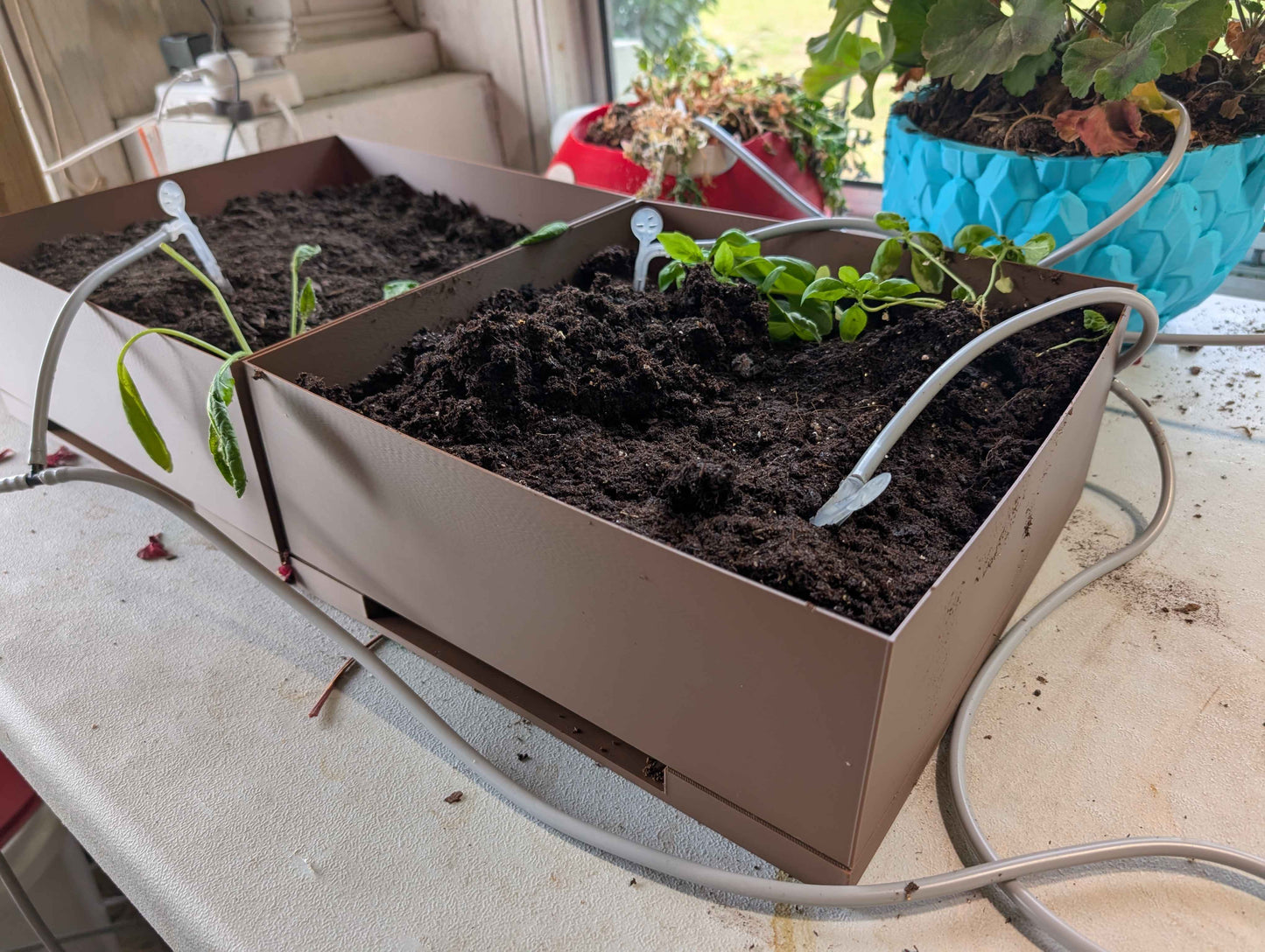 Plant Box – Modern Minimalist Planter – Indoor Desk Planter for Succulents & Herbs