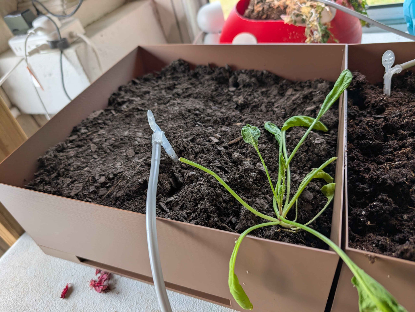 Plant Box – Modern Minimalist Planter – Indoor Desk Planter for Succulents & Herbs